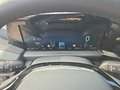 Ford Tourneo Custom Bus 2,5 PHEV 340 L2H1 FWD Titanium X Grau - thumbnail 15