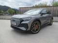 Audi Q4 e-tron Q4 50 e-tron quattro S line Matrix LED Navi 21'' Grau - thumbnail 1