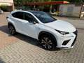 Lexus NX 300h F SPORT F-SPORT ORIGINALE Tagliandi Lexus Bianco - thumbnail 3