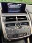 Lexus NX 300h F SPORT F-SPORT ORIGINALE Tagliandi Lexus Bianco - thumbnail 13