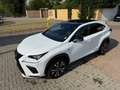 Lexus NX 300h F SPORT F-SPORT ORIGINALE Tagliandi Lexus Bianco - thumbnail 1