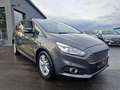 Ford S-Max Business 2.0 EcoBlue SCR Aut. Business/7 SITZE/... Grey - thumbnail 9