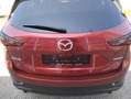 Mazda CX-5 /G165/AT/Advantage Modell 2024 Rouge - thumbnail 8