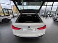BMW 520 D Touring M-Sport Pano/Leder/LM-19/AHK Blanc - thumbnail 7