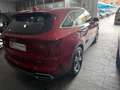 Kia Sorento 1.6 T-GDi HEV Drive 4x2 Burdeos - thumbnail 5