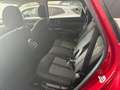 Kia Sorento 1.6 T-GDi HEV Drive 4x2 Burdeos - thumbnail 14