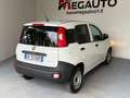 Fiat Panda VAN 1.0 Hybrid Grigio - thumbnail 7