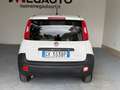 Fiat Panda VAN 1.0 Hybrid Grigio - thumbnail 6
