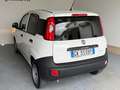 Fiat Panda VAN 1.0 Hybrid Grigio - thumbnail 5