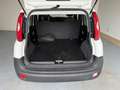 Fiat Panda VAN 1.0 Hybrid Grigio - thumbnail 14