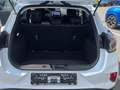 Ford Puma Titanium Design Bluetooth LED Klima Weiß - thumbnail 25