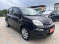 Fiat Panda Fiat Panda 1.3 mjt 75CV ideale per neopatentati co Noir - thumbnail 3