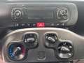 Fiat Panda Fiat Panda 1.3 mjt 75CV ideale per neopatentati co Noir - thumbnail 13