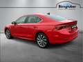 Skoda Octavia Premium TDI DSG Rot - thumbnail 5