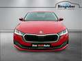 Skoda Octavia Premium TDI DSG Rot - thumbnail 3