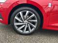 Skoda Octavia Premium TDI DSG Rot - thumbnail 15