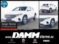 Mercedes-Benz EQA 300 EQA 300 4M Progr. Adv.+/AHK/FAP/MEMORY/LRH/+Flex Blanc - thumbnail 1