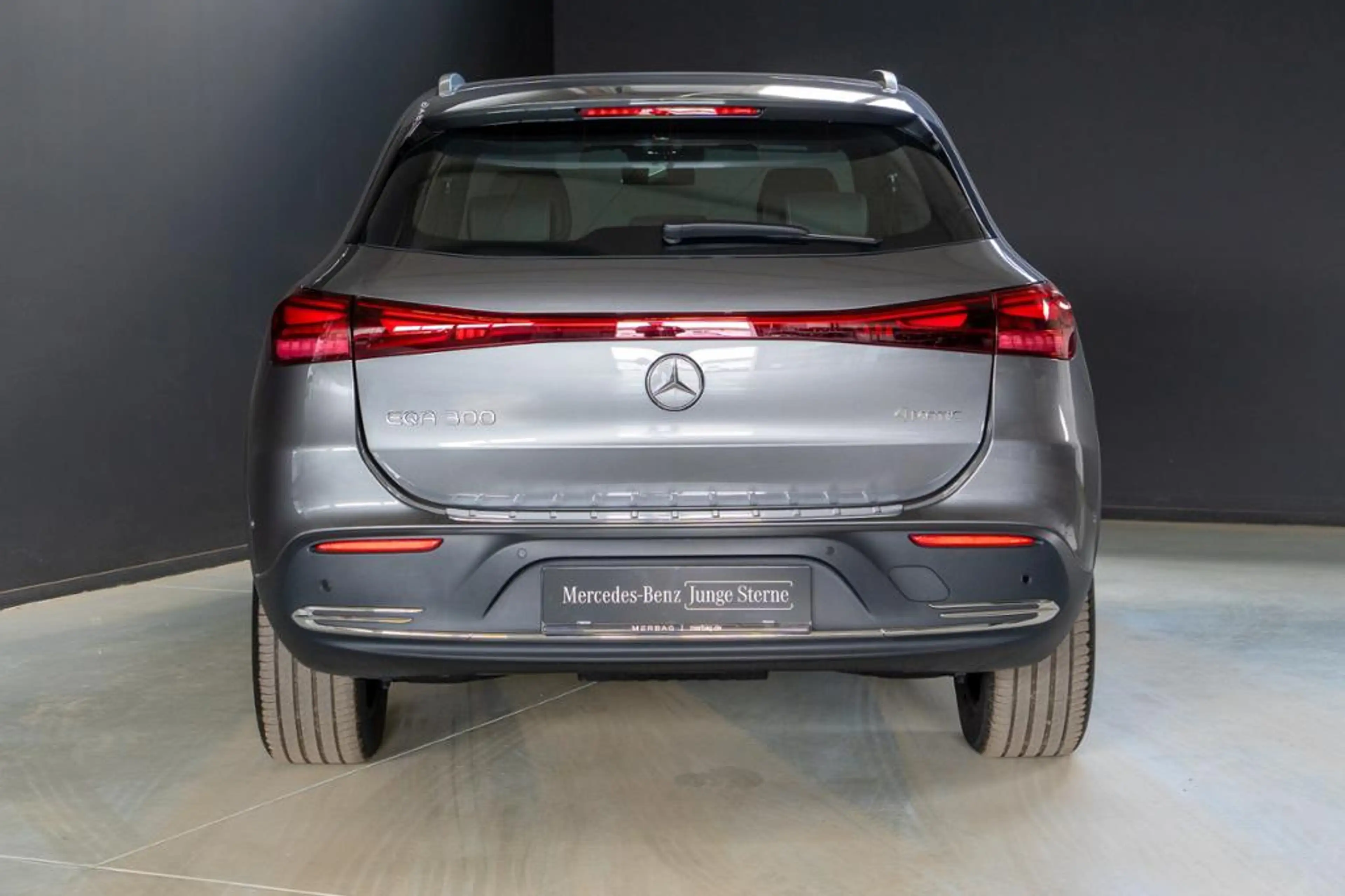 Mercedes-Benz EQA 300 4M *Progressive LED Kam Winter Totwin — photo 4