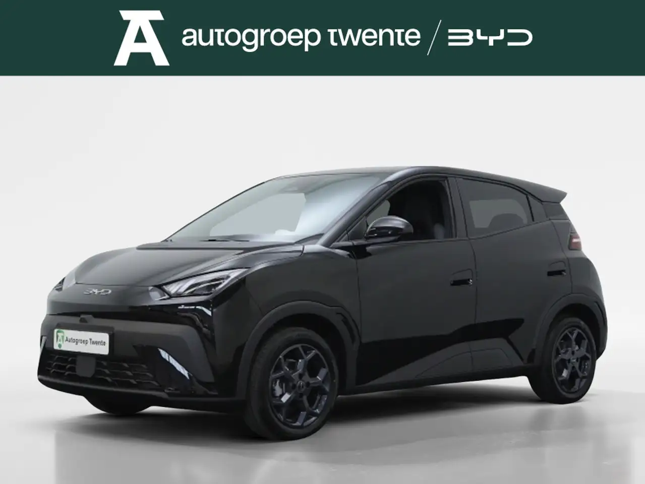 BYD Dolphin Surf 2026