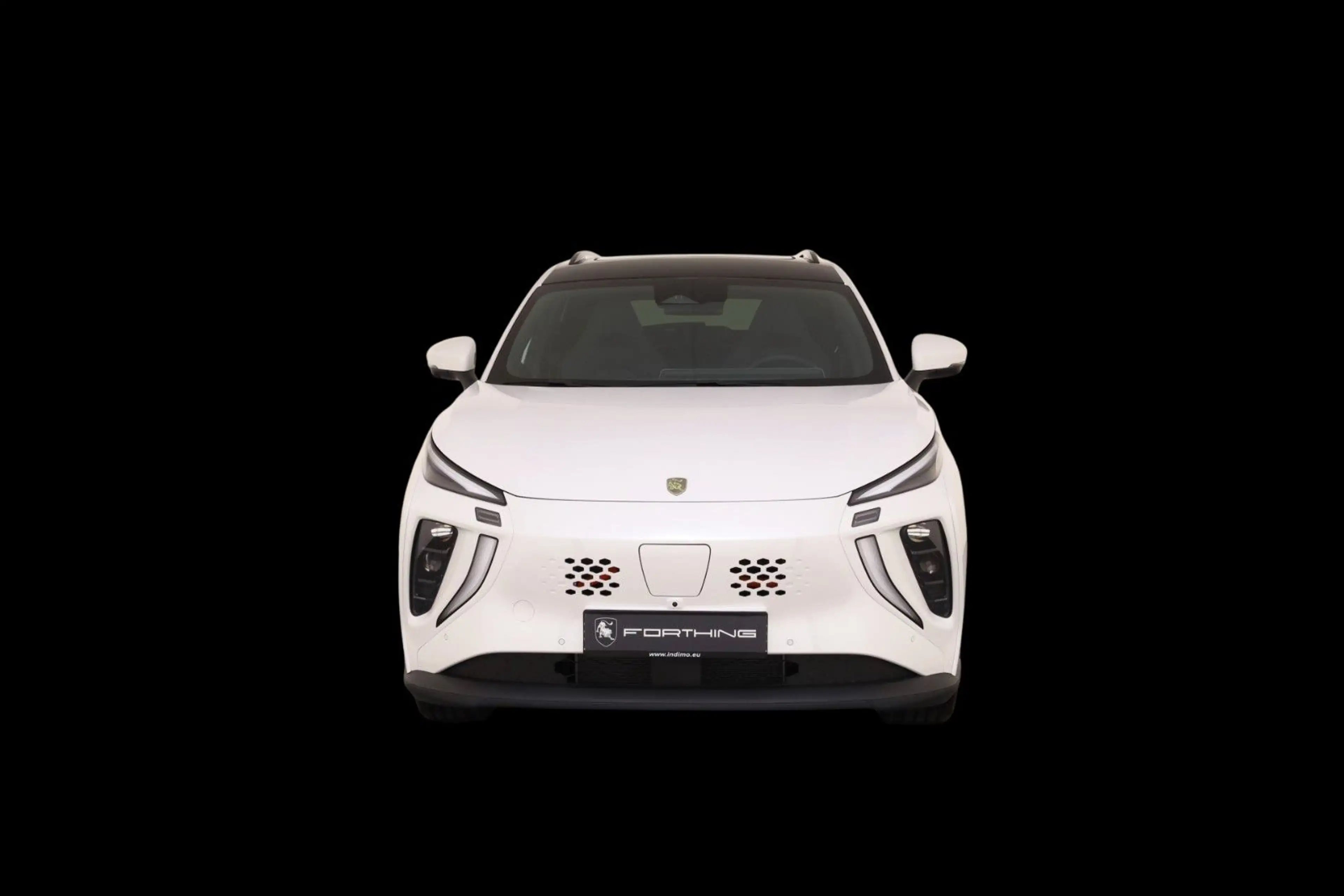 DFM Forthing 5 EV — photo 8