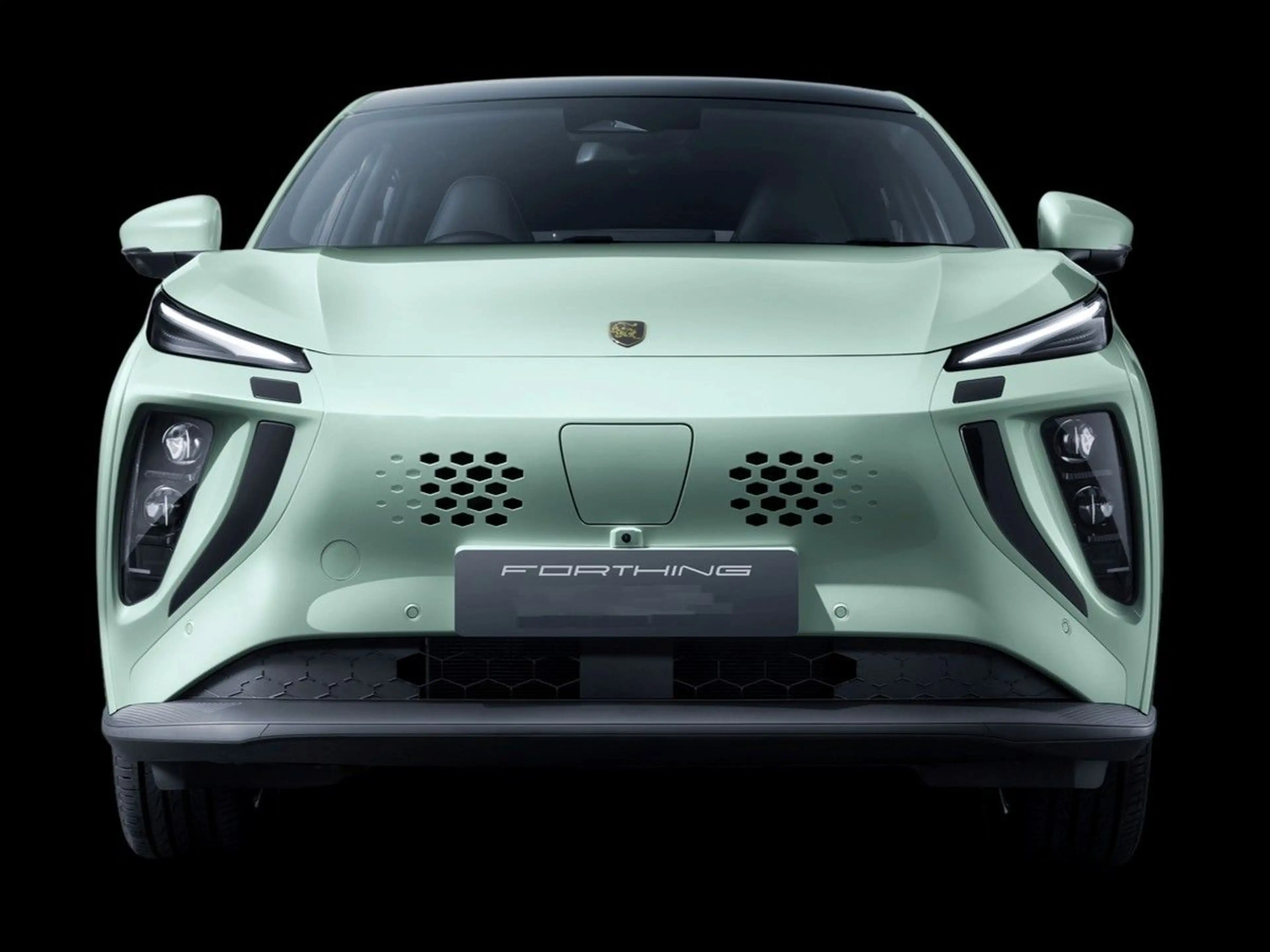 DFM Forthing 5 EV — photo 3