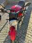 Ducati Monster 600 Rojo - thumbnail 2