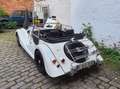Morgan Plus 4 Plus 4 2.0l Bej - thumbnail 13