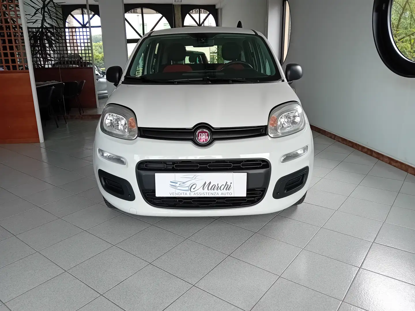 Fiat New Panda Panda 1.2 Easy s Bianco - 1