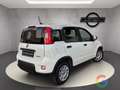 Fiat Panda Hybrid 1.0 70cv - PROMO/IVA ESP. - thumbnail 4