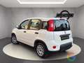 Fiat Panda Hybrid 1.0 70cv - PROMO/IVA ESP. - thumbnail 6