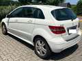 Mercedes-Benz B 180 Classe B - T245 cdi Executive - thumbnail 6