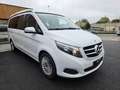 Mercedes-Benz Marco Polo 250 D 190CH FRANÇAIS / ATTELAGE Blanc - thumbnail 36