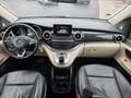 Mercedes-Benz Marco Polo 250 D 190CH FRANÇAIS / ATTELAGE Blanc - thumbnail 22