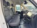 Peugeot Boxer 35 L4H2 180 Automatik*Kamera*ACC*LED*Holz Weiß - thumbnail 5