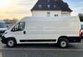 Peugeot Boxer 35 L4H2 180 Automatik*Kamera*ACC*LED*Holz Weiß - thumbnail 9