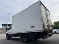 Iveco Daily 65C17 Frigo FRCX-20°C MAGGIO2027 ATP E5B kg2775 Blanc - thumbnail 7