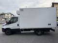 Iveco Daily 65C17 Frigo FRCX-20°C MAGGIO2027 ATP E5B kg2775 Blanc - thumbnail 3