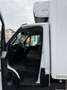 Iveco Daily 65C17 Frigo FRCX-20°C MAGGIO2027 ATP E5B kg2775 Blanc - thumbnail 8