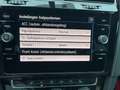 Volkswagen Golf Variant 1.5 TSI ACT OPF BlueMotion, LEDER / CAMERA / ACC Gris - thumbnail 18
