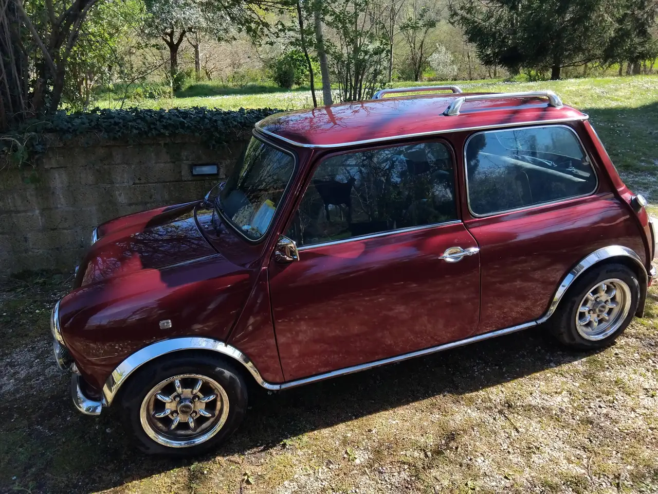 MINI edizione del trentennale 998 del 1989, foto 5