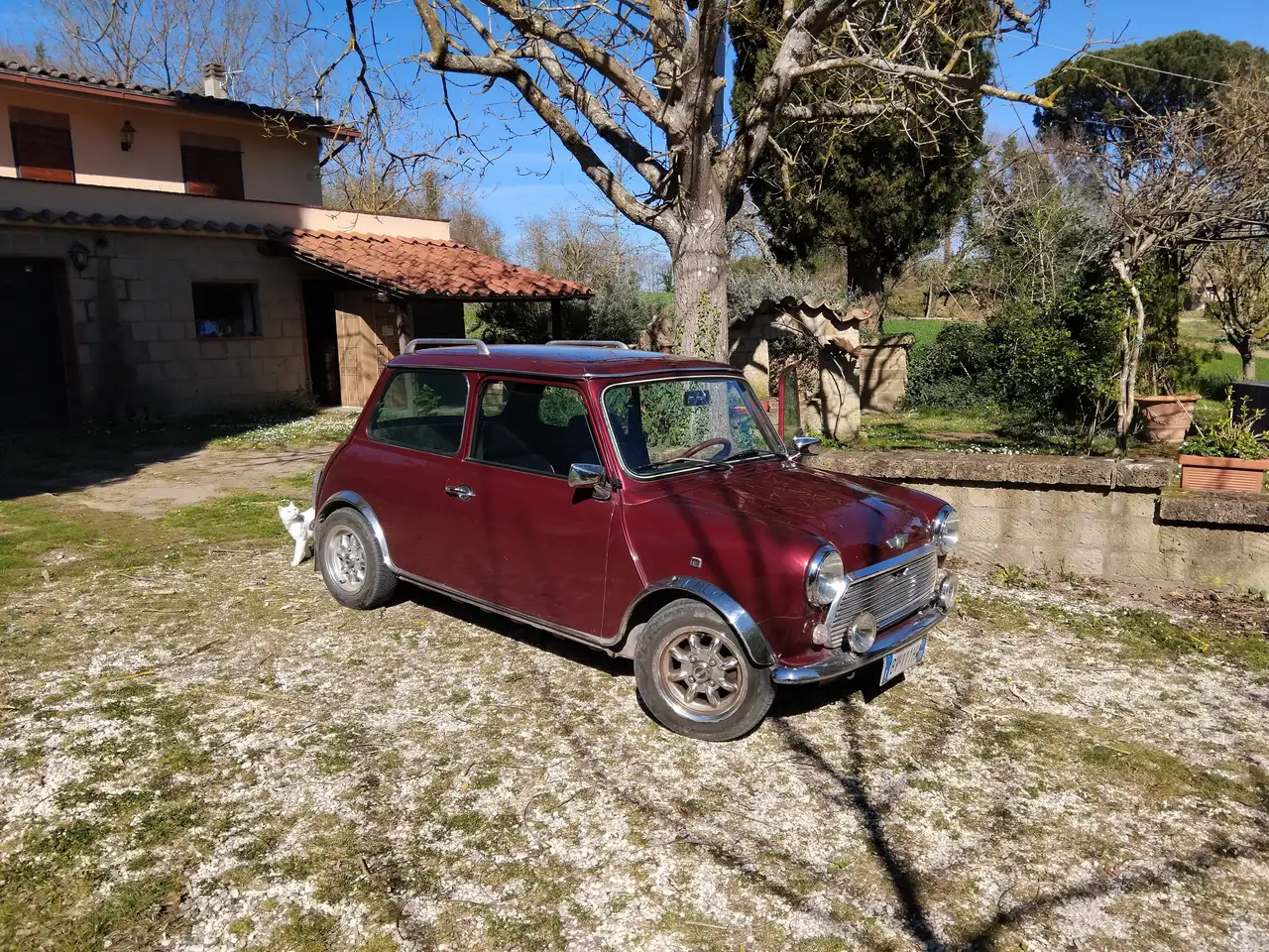 MINI edizione del trentennale 998 del 1989, foto 1