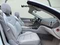 Mercedes-Benz SL 500 Mercedes Blanco - thumbnail 21