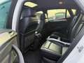 BMW X6 xDrive 30dA Blanco - thumbnail 11