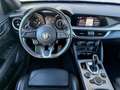 Alfa Romeo Stelvio 2.2 210CV AT8 Q4 VELOCE IVA ESPOSTA! PELLE-20" Blu/Azzurro - thumbnail 11
