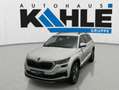 Skoda Kodiaq 2.0 TDI DSG Ambition Navi Vorb. AHK ACC Weiß - thumbnail 1