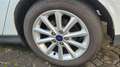Ford Focus Focus Turnier 1.5 TDCi Titanium Weiß - thumbnail 10