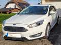 Ford Focus Focus Turnier 1.5 TDCi Titanium Weiß - thumbnail 1