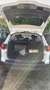 Ford Focus Focus Turnier 1.5 TDCi Titanium Weiß - thumbnail 11