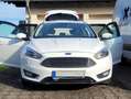 Ford Focus Focus Turnier 1.5 TDCi Titanium Weiß - thumbnail 5