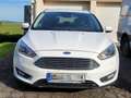 Ford Focus Focus Turnier 1.5 TDCi Titanium Weiß - thumbnail 2